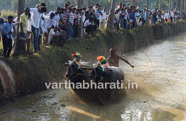 ಪರೀಕ ಅರಮನೆಯ ಕಂಬಳ ಮಹೋತ್ಸವ